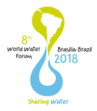 Official 8th World Water Forum Logo 